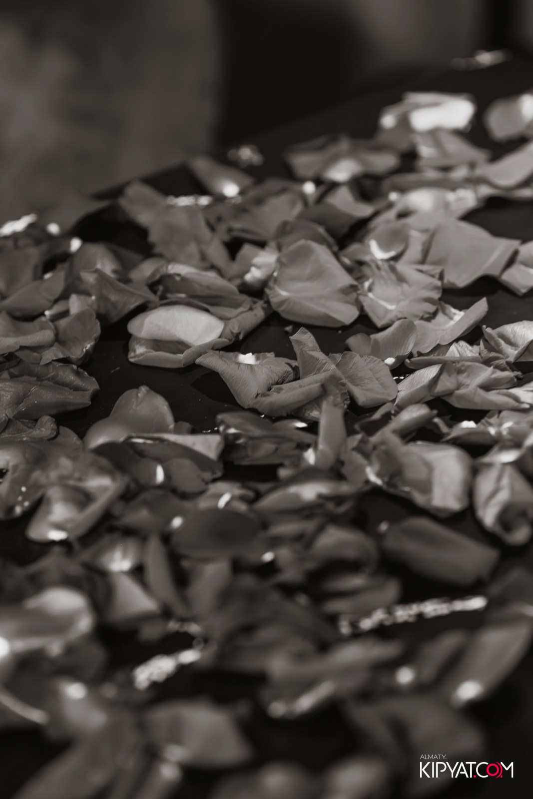 ARABIS НА ГАГАРИНА. КИПЯТКОМ АЛМАТЫ!