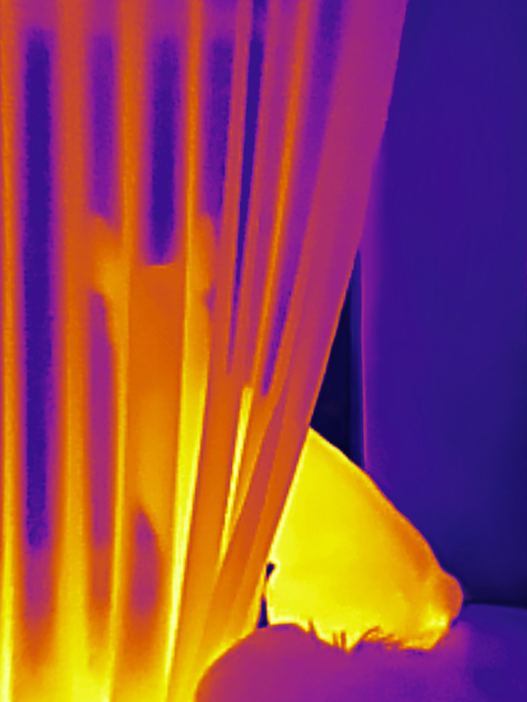 Если б я была удавом / If I were a boa constrictor. Visual artist Olga Burmistrova