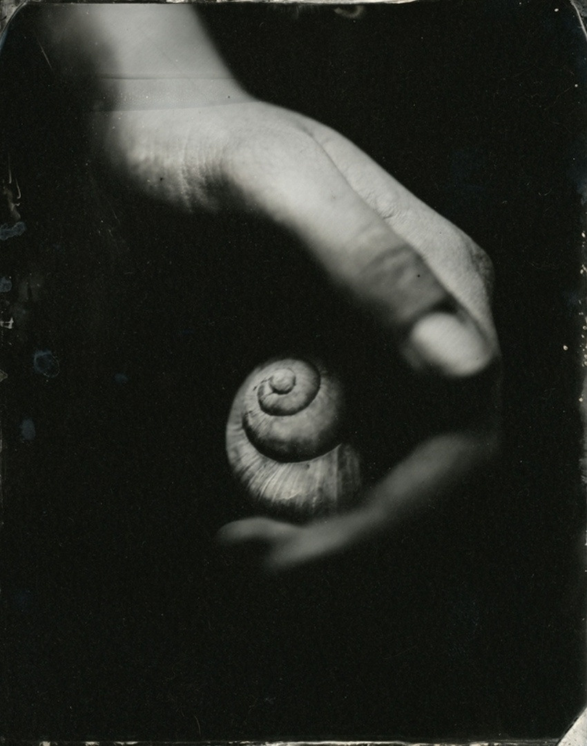 ИСА МАРЧЕЛЛИ