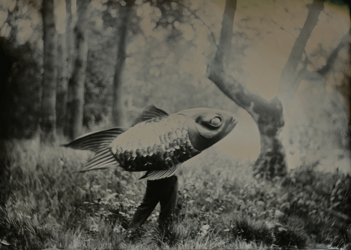 ИСА МАРЧЕЛЛИ