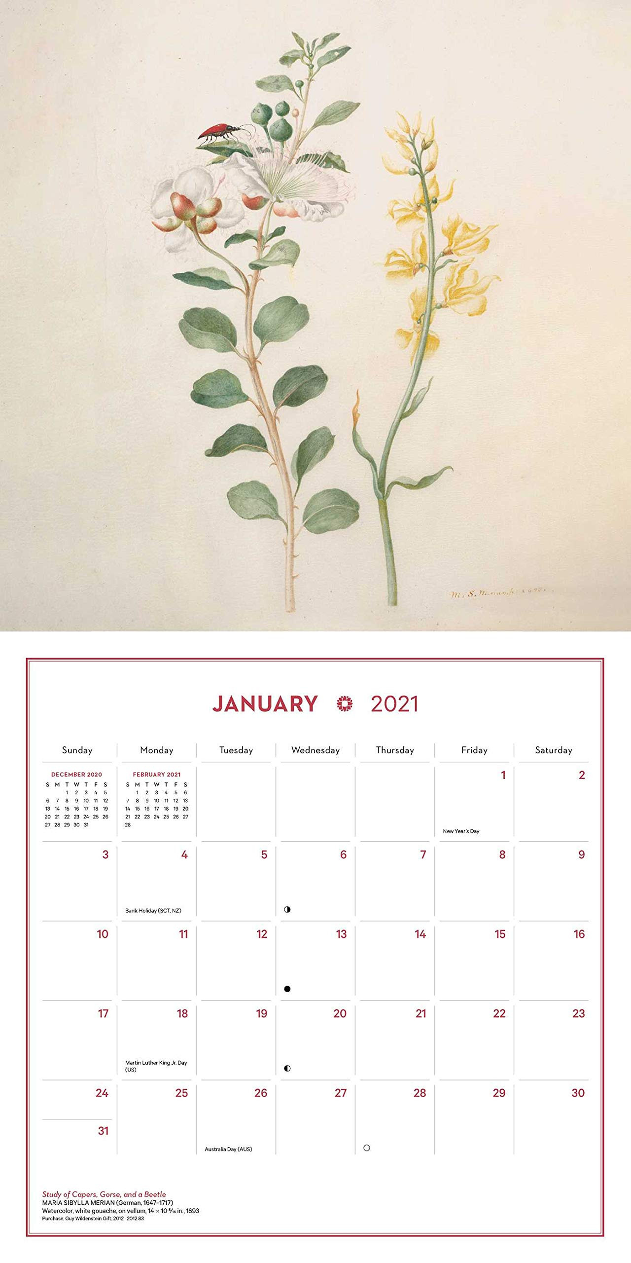 Визуальные примеры