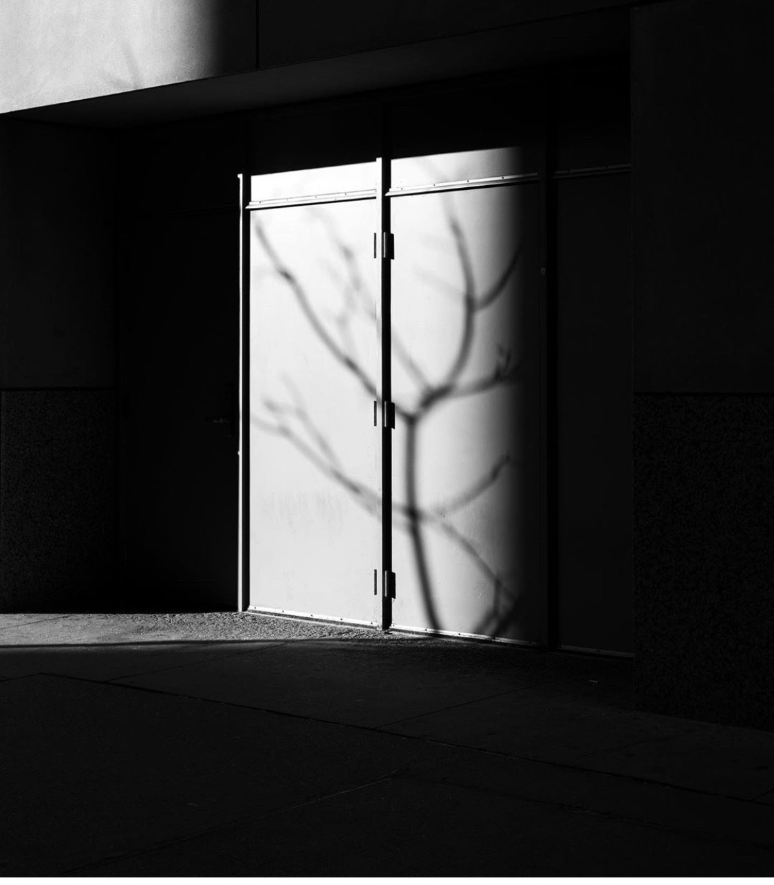 Визуальные примеры ЧБ