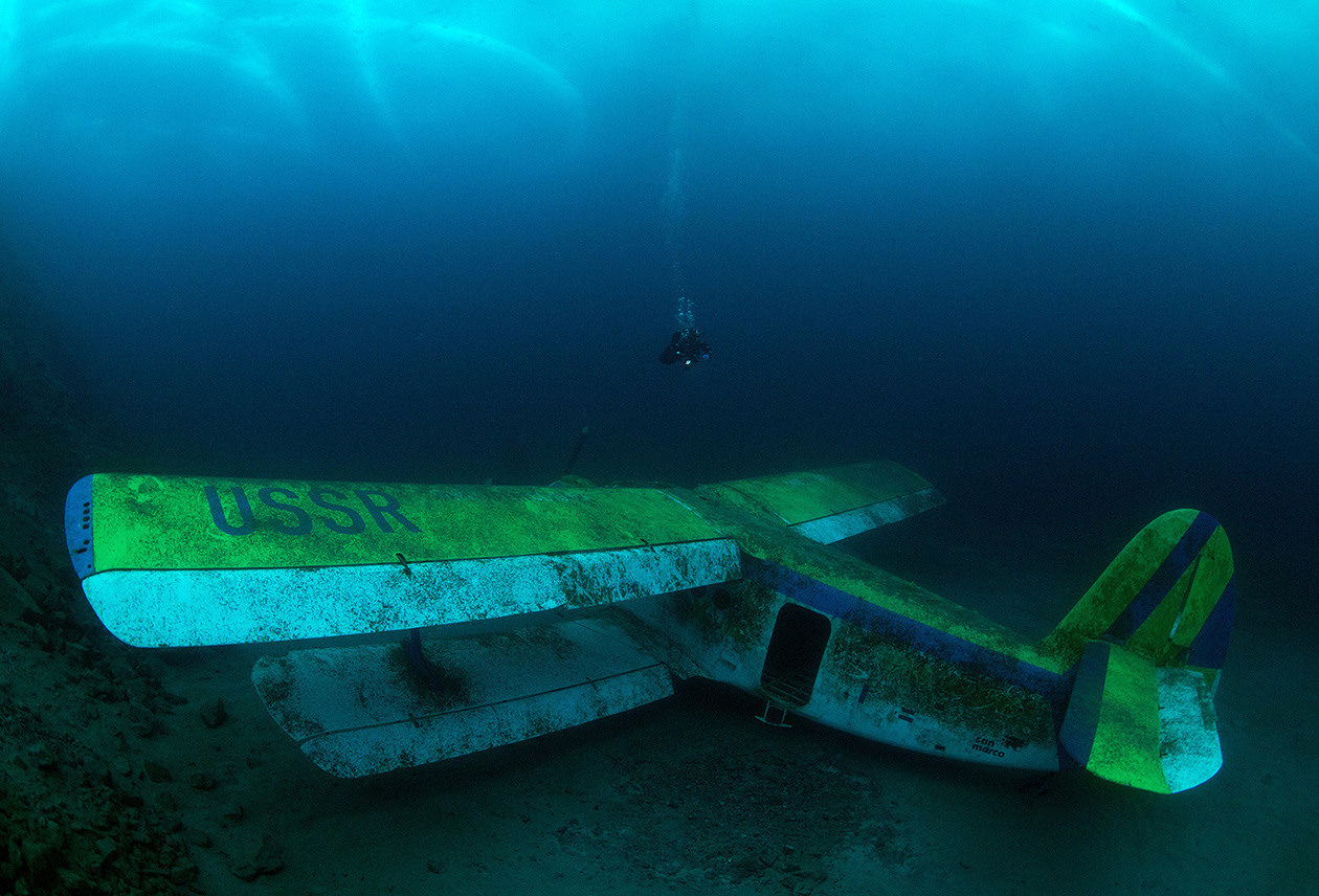 ISO 1600, F7.1, 1/100 с, 16.0 мм