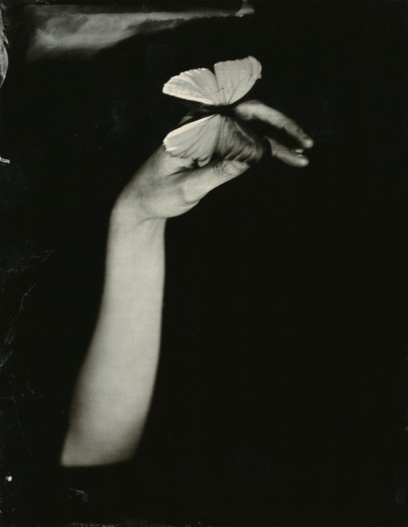 ИСА МАРЧЕЛЛИ