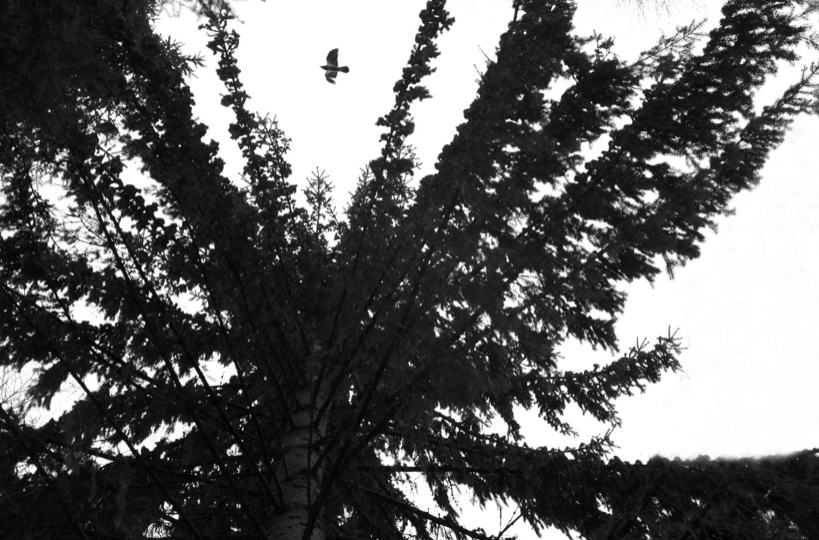 МАРИЯ КОКУНОВА