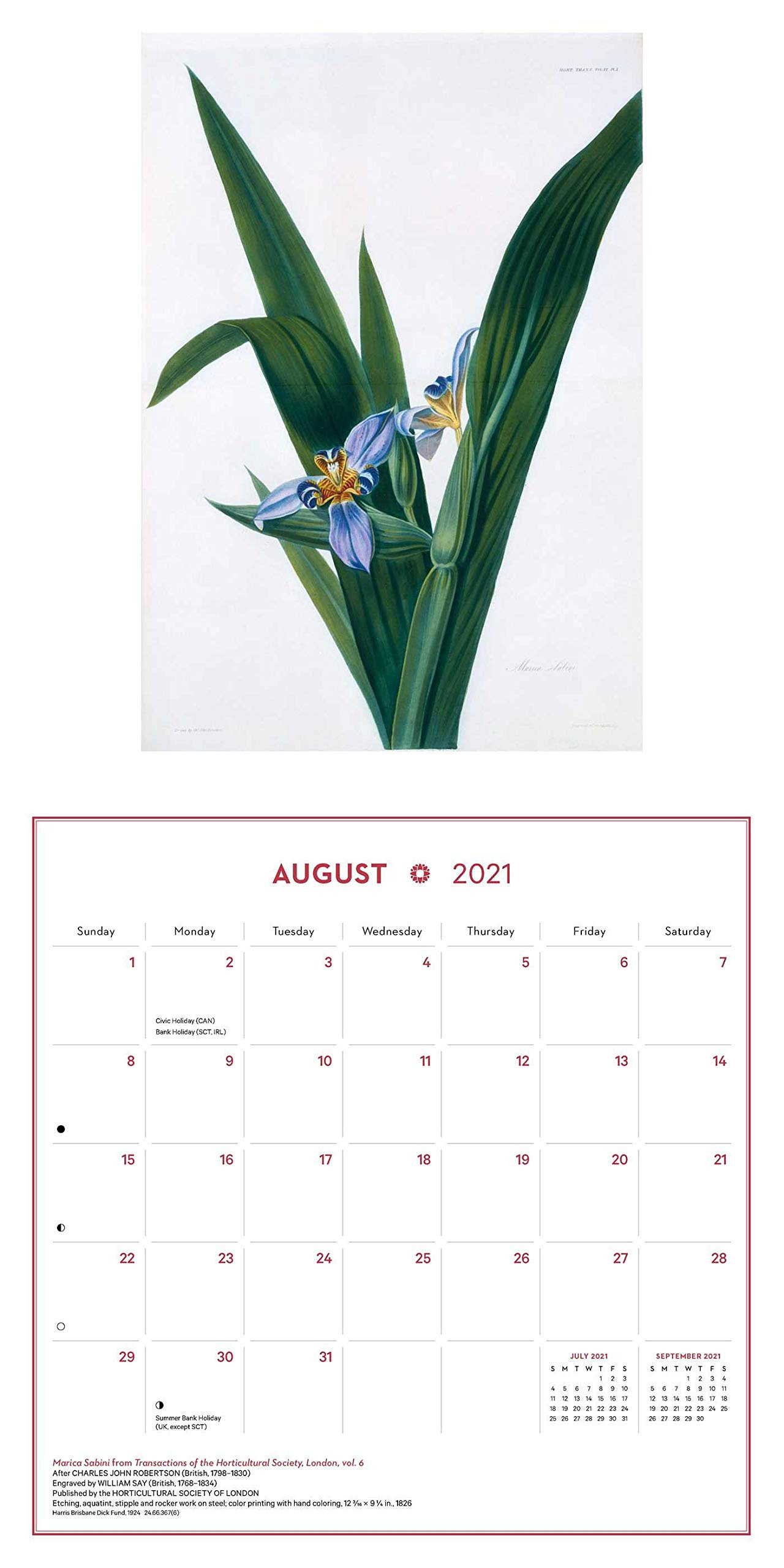 Визуальные примеры