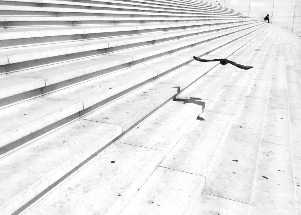 JOSE LUIS BARCIA FERNANDEZ