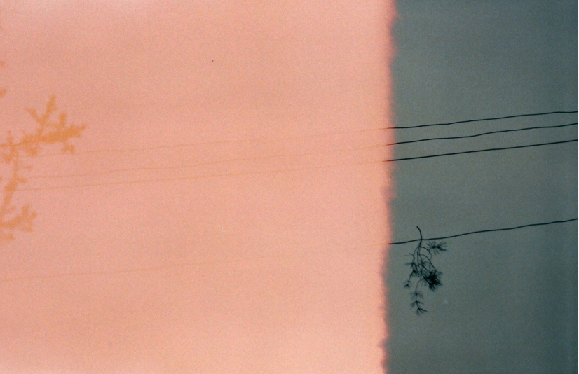 МАРИЯ КОКУНОВА