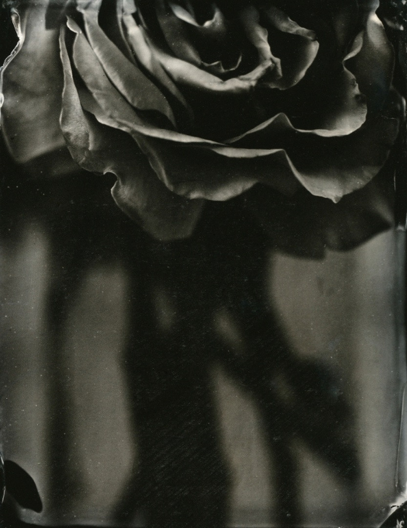 ИСА МАРЧЕЛЛИ