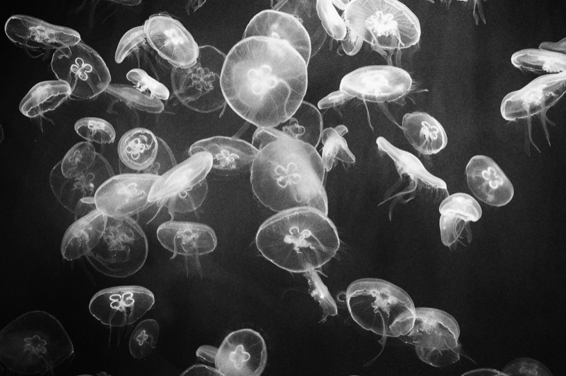 МАРИЯ КОКУНОВА