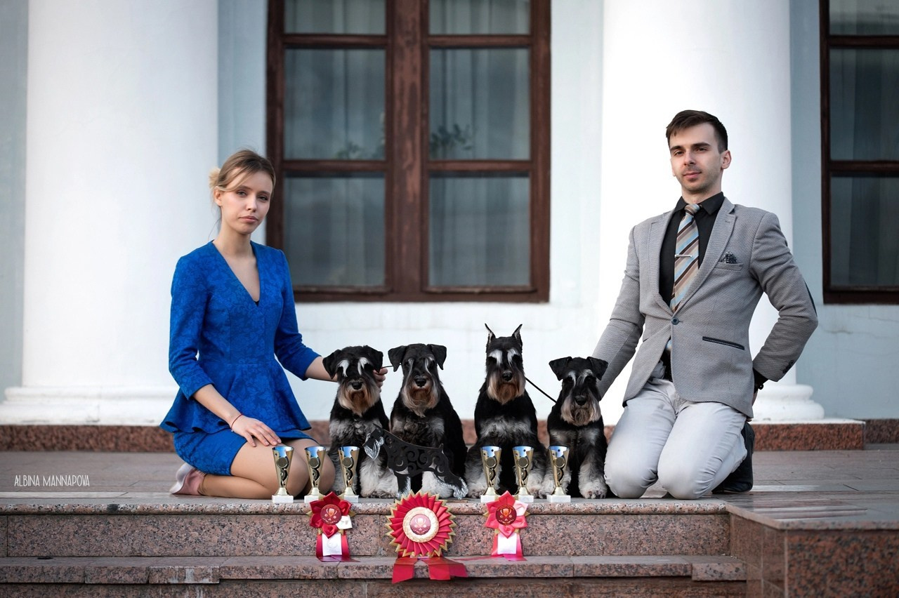 Собаки. FASHION ФОТОГРАФ КАЗАНЬ