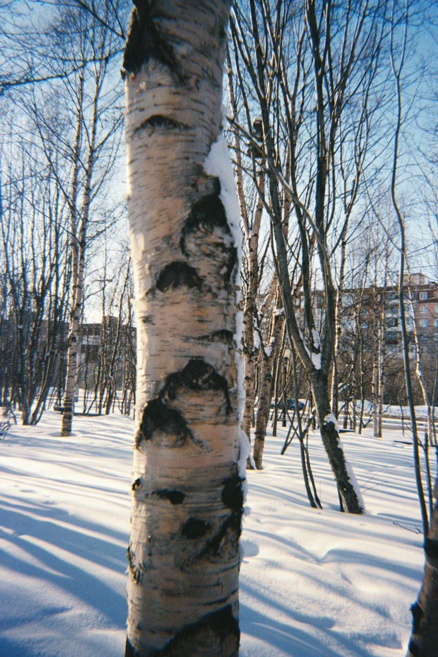 Товары. Фотограф Алиса Аспер