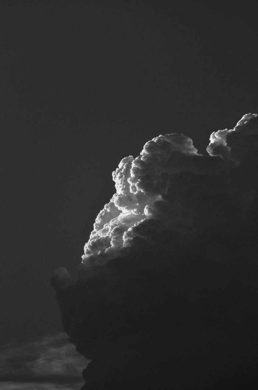 Nature. Портретный фотограф в Москве Ксения Богданова