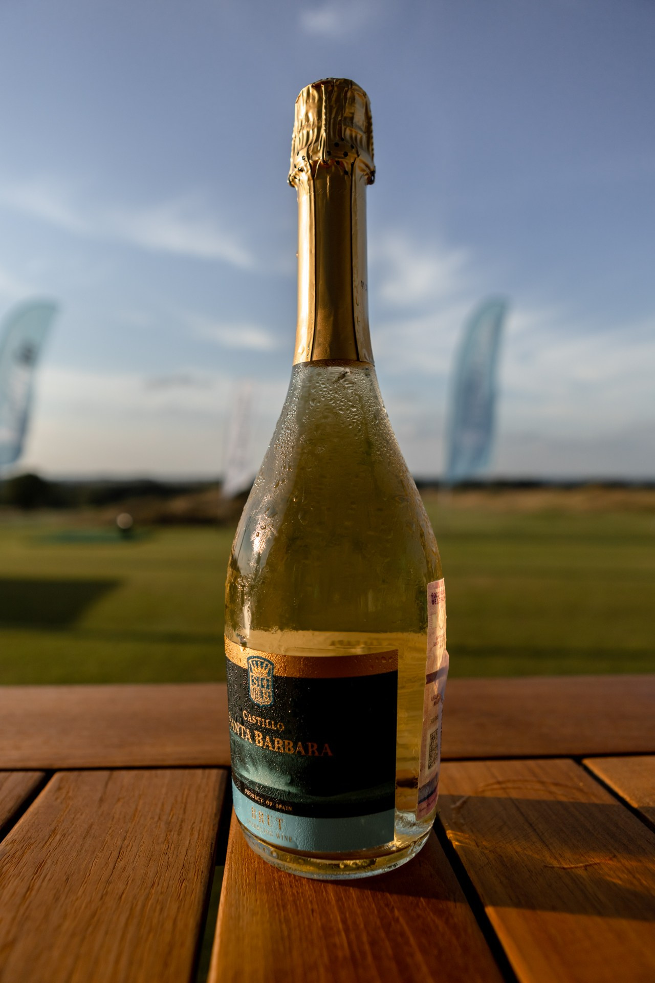 Chateau le Grand Vostock (Links National Golf Resort). Фотограф Владимир Молоканов