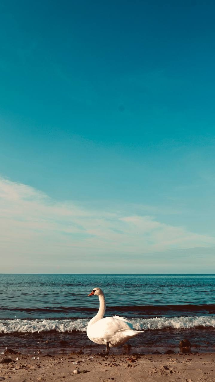 Калининград 2025. Фотограф Михаил Олейник