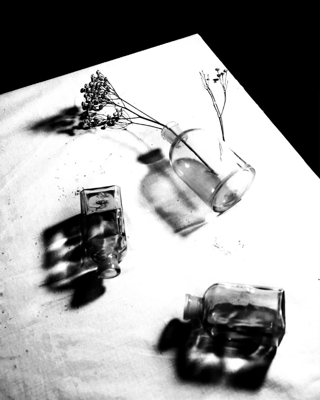 Галерея 2. Наталья Жукова. Курсы фотографии