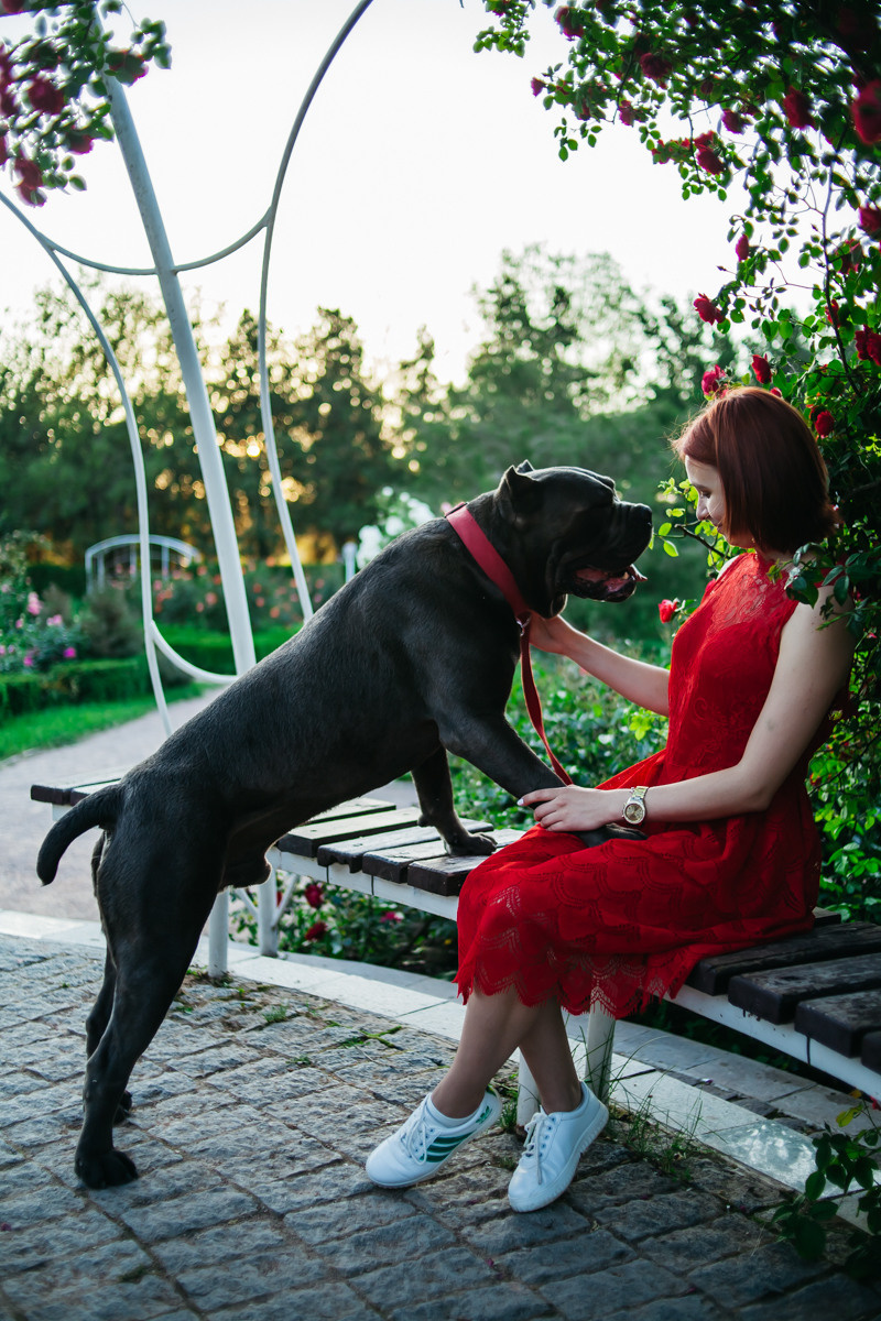 Дарья. Студийный Фотограф. Крым. Симферополь