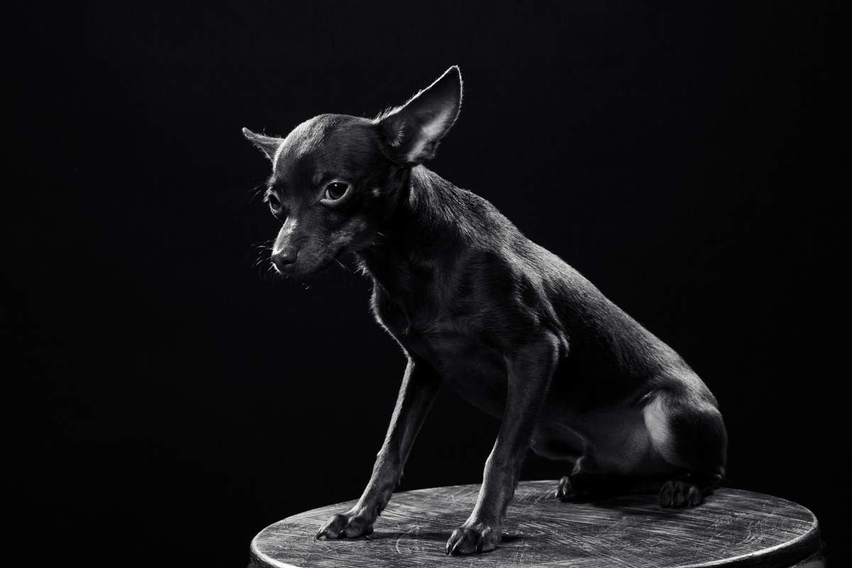 Разное. BWstudio — фотостудия черно-белой фотографии Алматы. Фотограф Алматы. Фотостудия Алматы