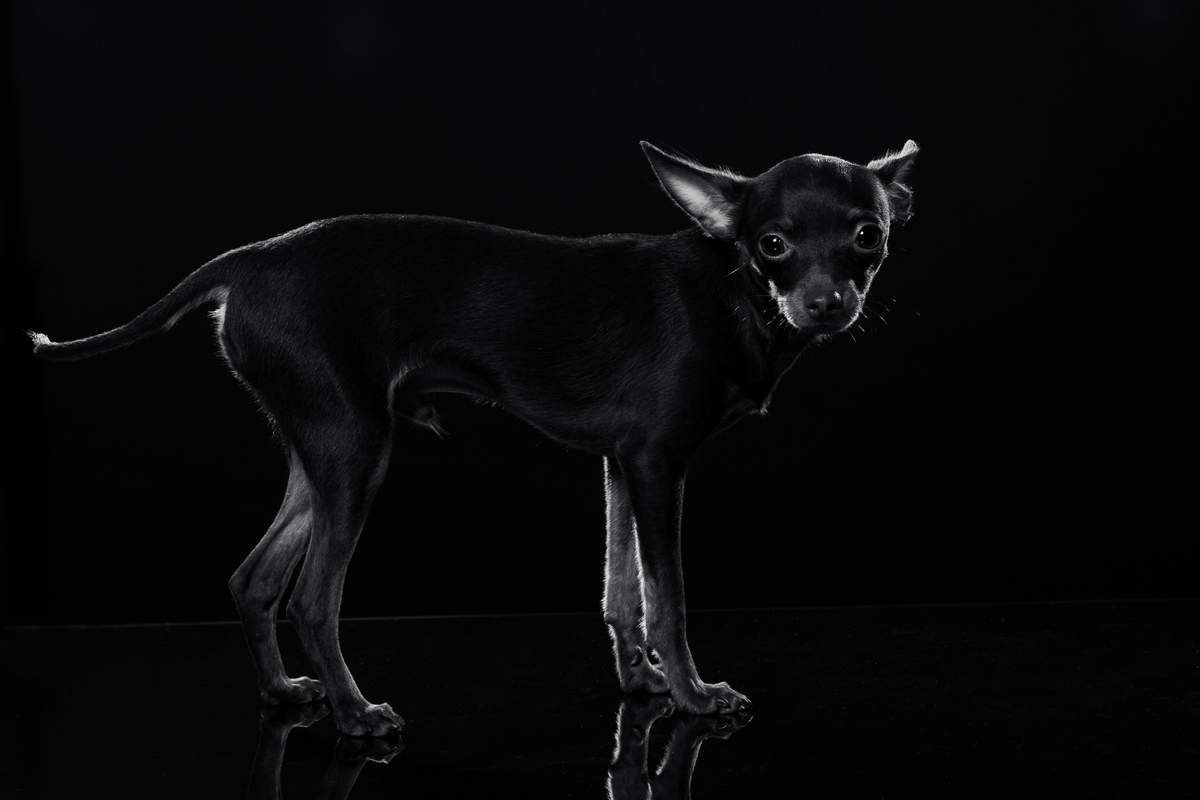 Разное. BWstudio — фотостудия черно-белой фотографии Алматы. Фотограф Алматы. Фотостудия Алматы