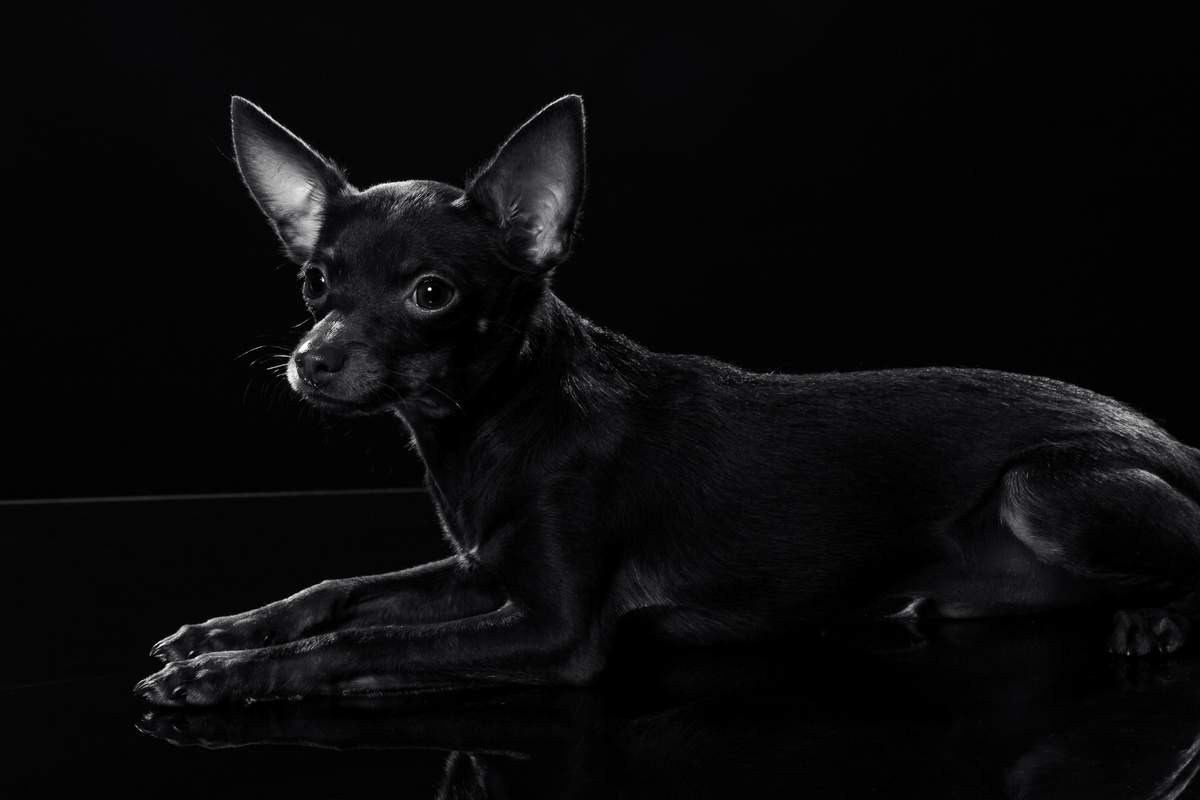 Разное. BWstudio — фотостудия черно-белой фотографии Алматы. Фотограф Алматы. Фотостудия Алматы
