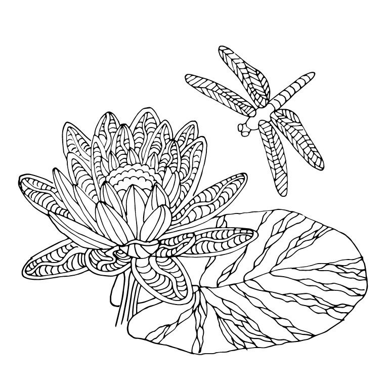 Раскраска для взрослых антистресс. Стрекоза летает над лилией. Детальная черно-белая иллюстрация с узорами, цветочными мандалами и орнаментами. Идеально для арт-терапии, медитации и снятия стресса. Заказать уникальную раскраску для взрослых, готовый файл для печати или оригинальный подарок для творческого человека.