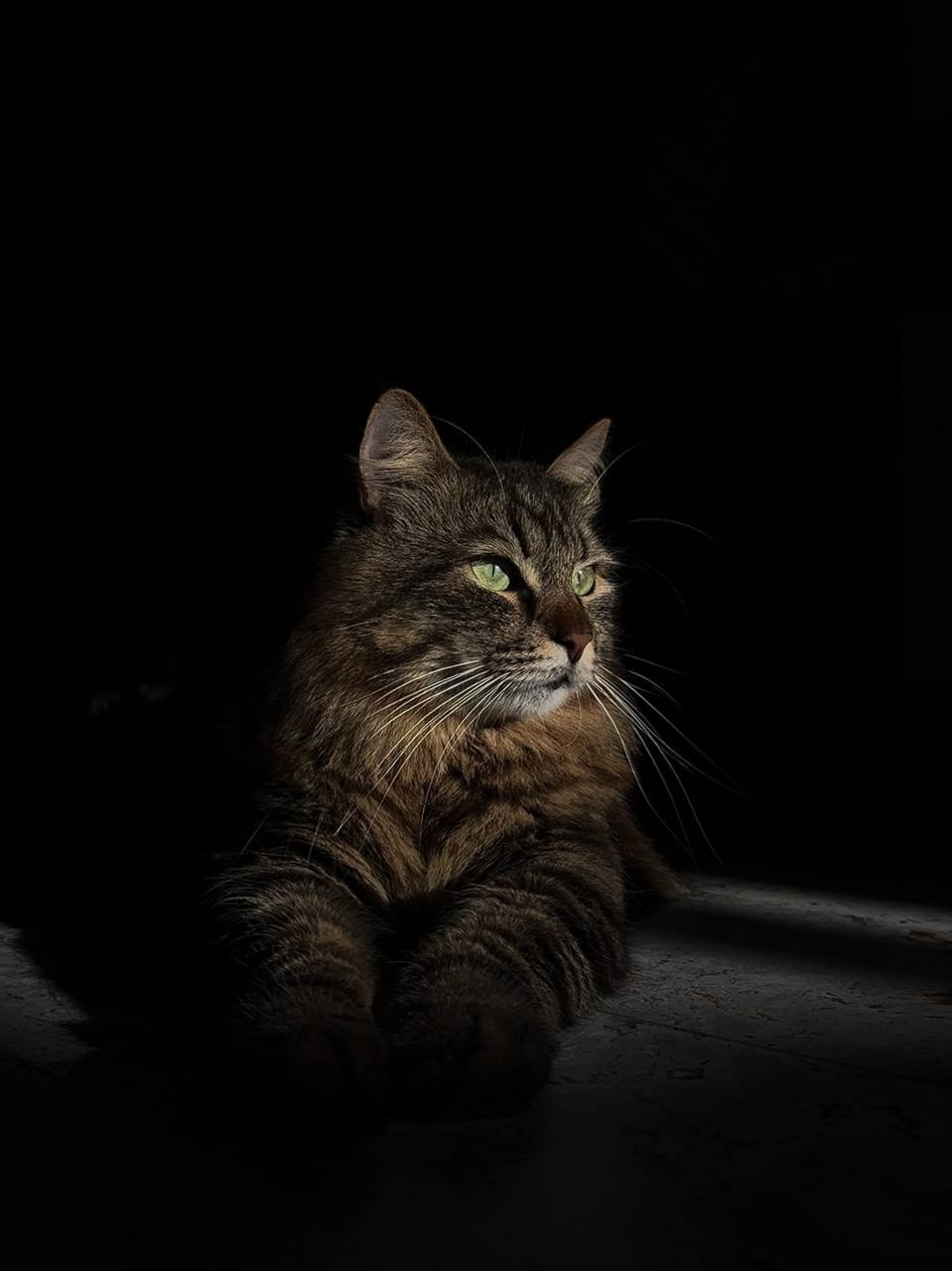 Курс по мобильной фотографии «ФОТОЛОВИСТА»