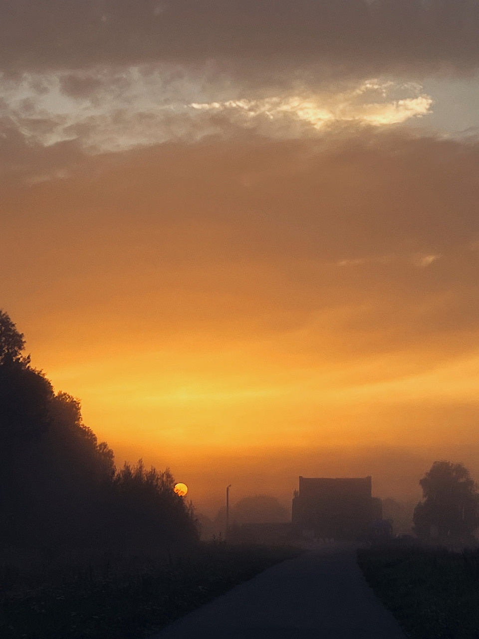 Курс по мобильной фотографии «ФОТОЛОВИСТА»