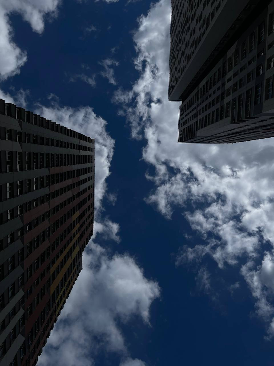 Курс по мобильной фотографии «ФОТОЛОВИСТА»