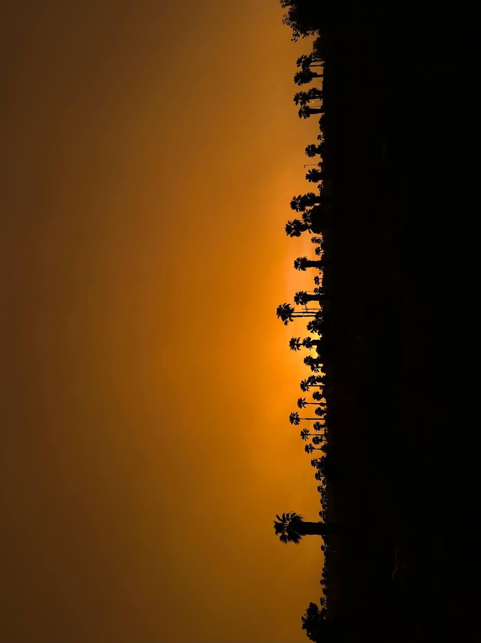 Курс по мобильной фотографии «ФОТОЛОВИСТА»