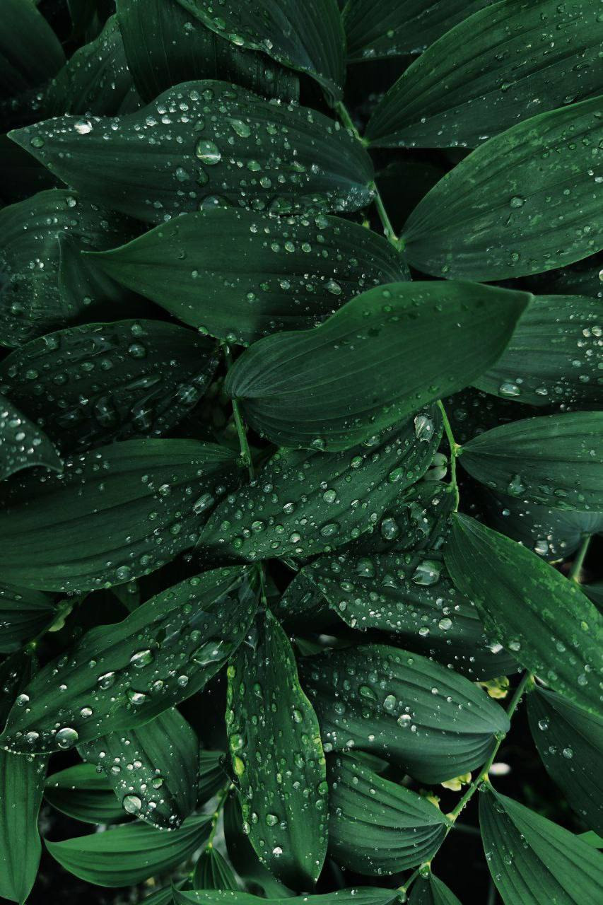 Курс по мобильной фотографии «ФОТОЛОВИСТА»