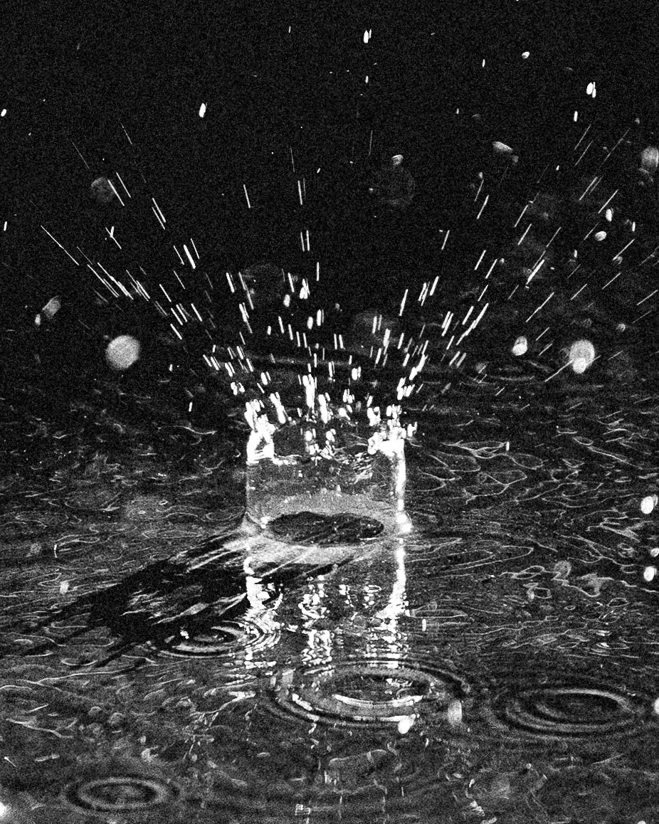 Water. Фотограф в Москве и МО Князева Алина