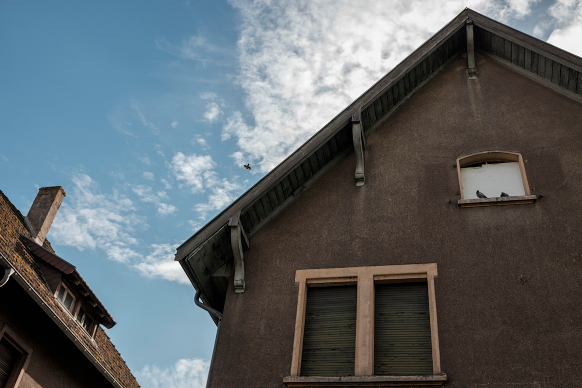 Photoproject "Frozen". Ekaterina Solovieva photographer