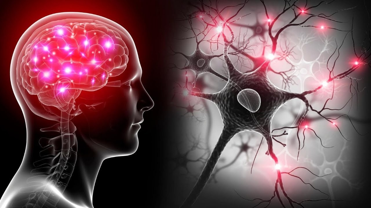 Готовые курсы приема продукции компании Сово-Сова. Сово-Сово — Омоложение и оздоровление!