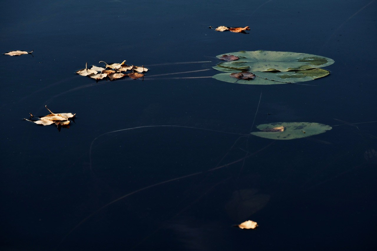 Архангельская область. Фотограф Евгений Андреев