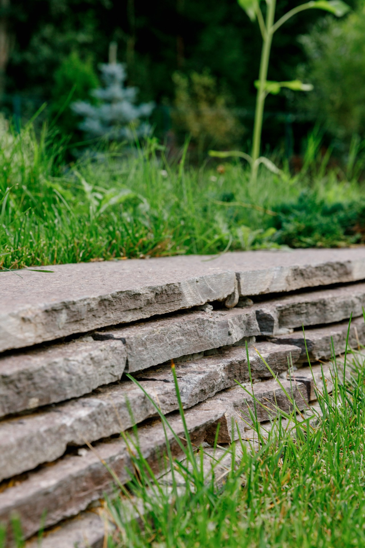 Загородный дом. Ландшафтный дизайн. Репортажный фотограф в Санкт-Петербурге Жолудев Владислав