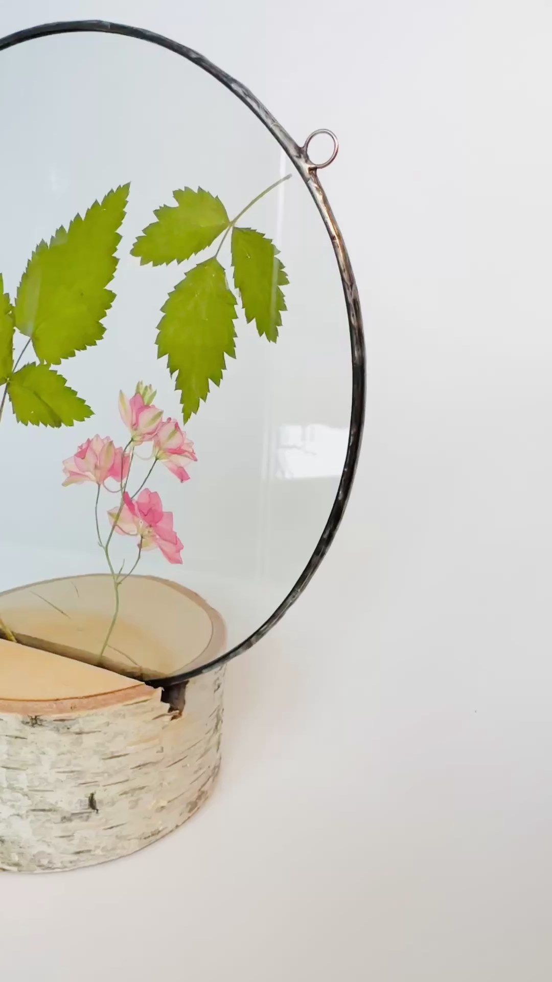 Гербарий в стекле с сухоцветами (витраж в технике тиффани). Гербарий в стекле, интерьерные панно, витражи с сухоцветами в технике тиффани