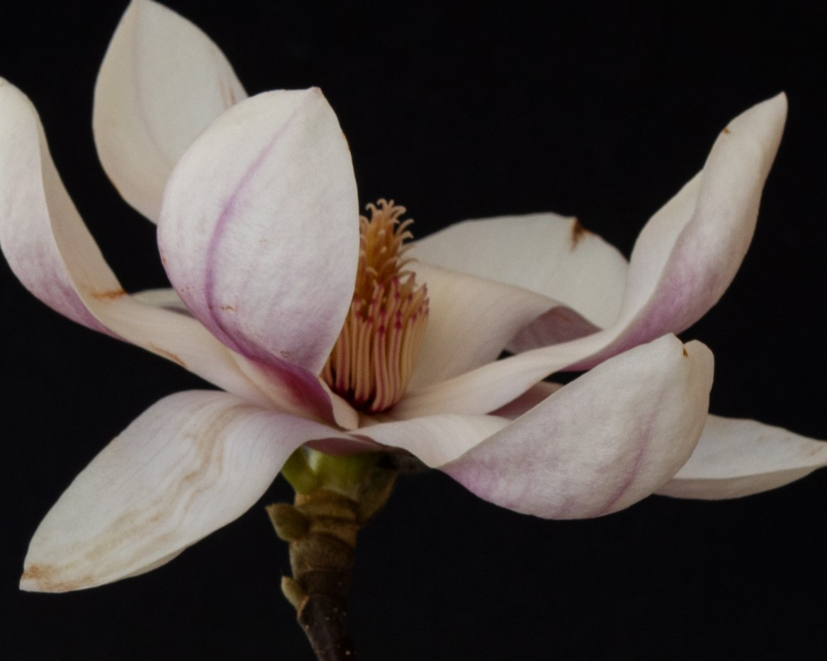 Eternal Moment. Author’s fine art prints with international delivery