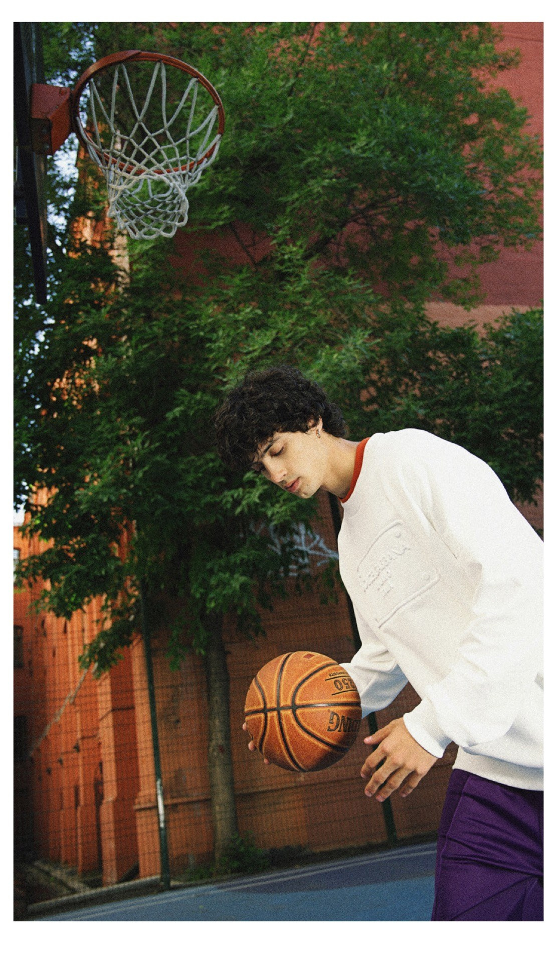 Dolce & Gabbana (tsum, 2023)