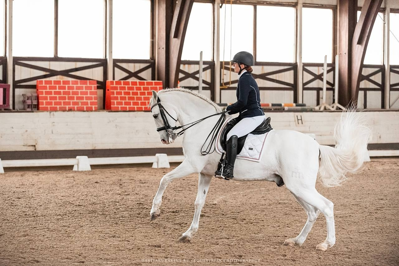 Муниципальные соревнования по выездке «Весенний Кубок КСК «Белая дача». Конный фотограф Куракина Дарья • Фотосессии с лошадьми
