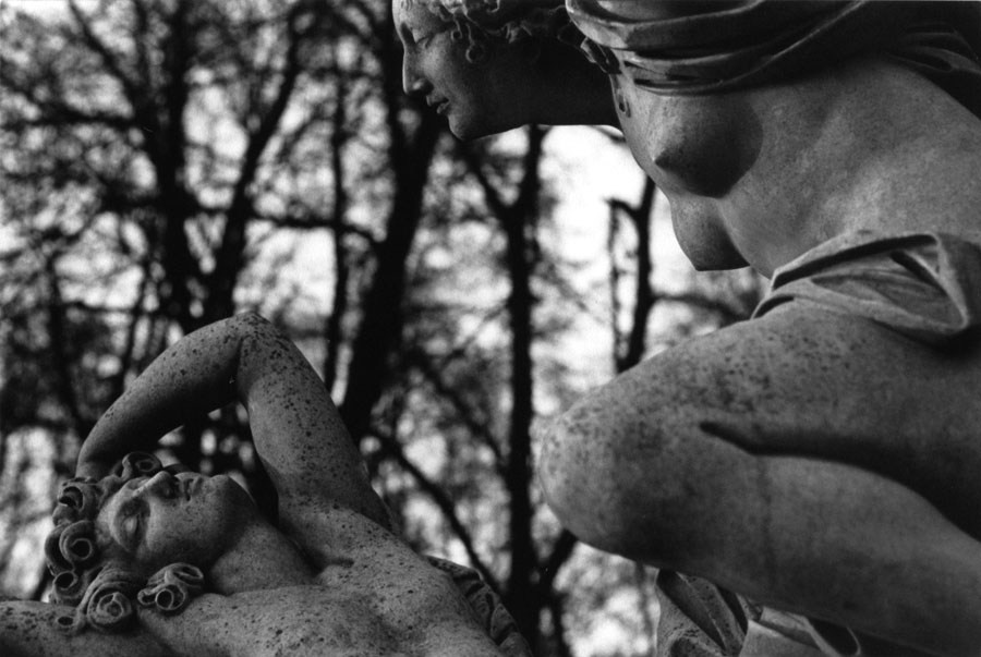 Those. Елена Цихон художник фотографии и мастер фото-ДНК