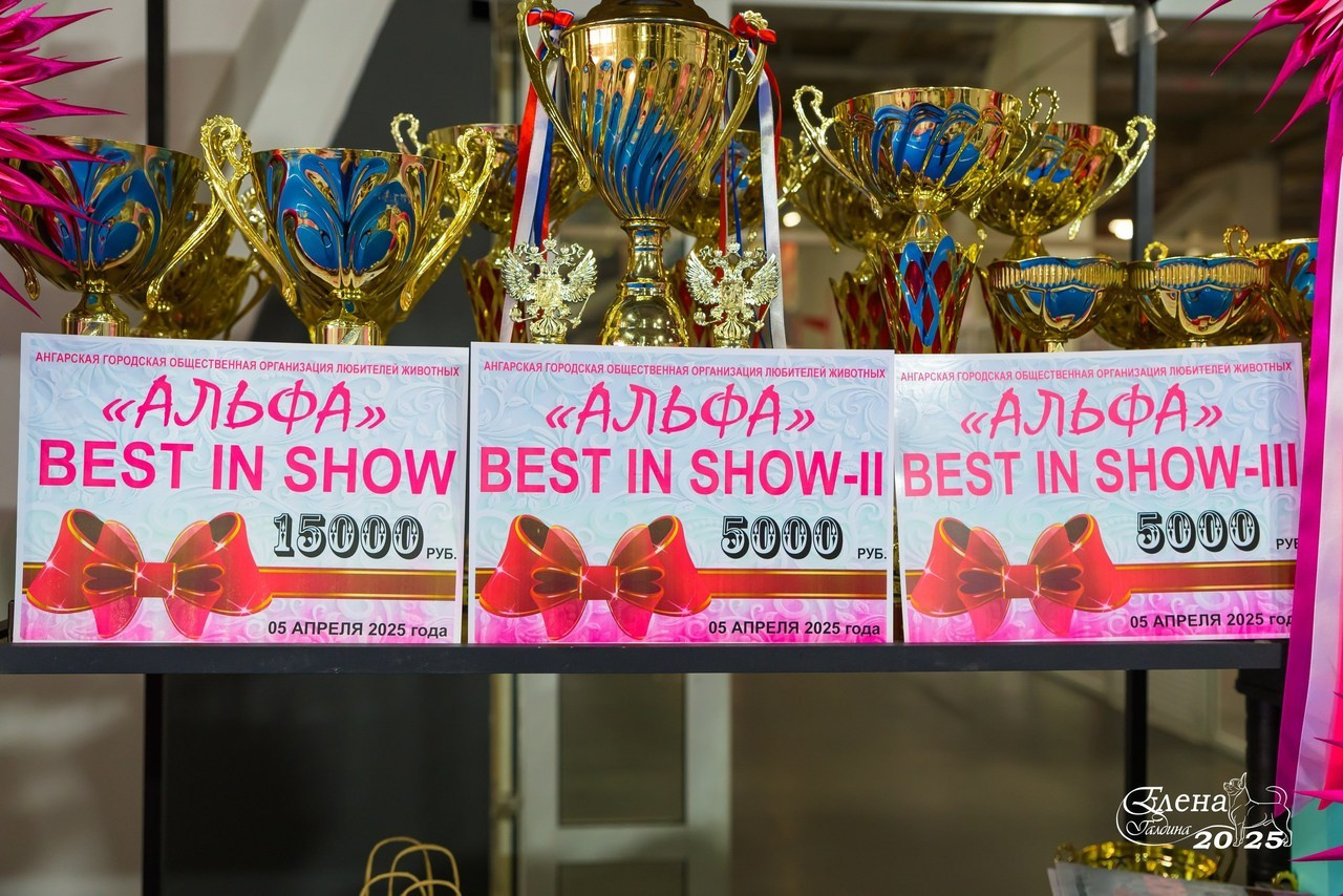 Отзывы. Фотограф анималист Елена Галдина г. Красноярск