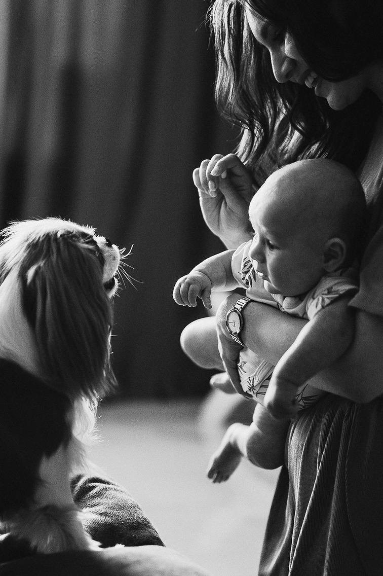 Курс по фотографии. Детский и семейный фотограф Татьяна Рыбалко. Фотосессии у вас дома