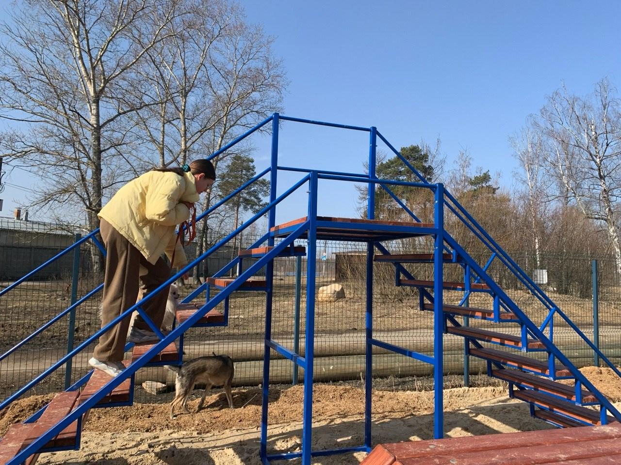 Практические занятия по дрессировке. НРОО КЦ "Собаковод"