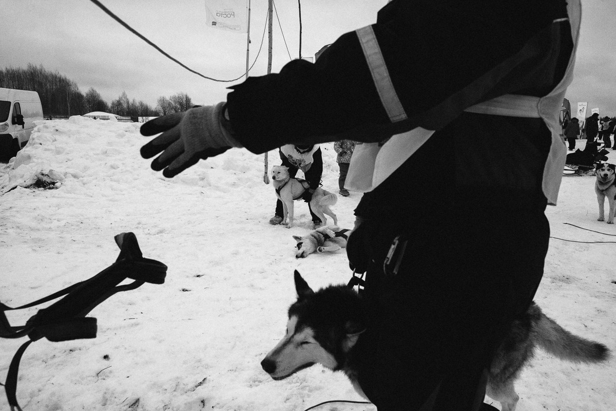 Северная Надежда. Виктор Вытольский —репортажный и событийный фотограф в Москве