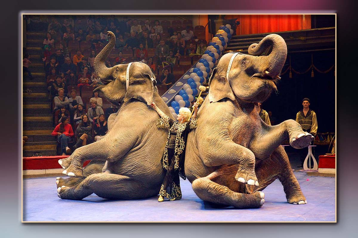 Корпоратив Дон-Строй Новый год. Skazka.wfolio.pro