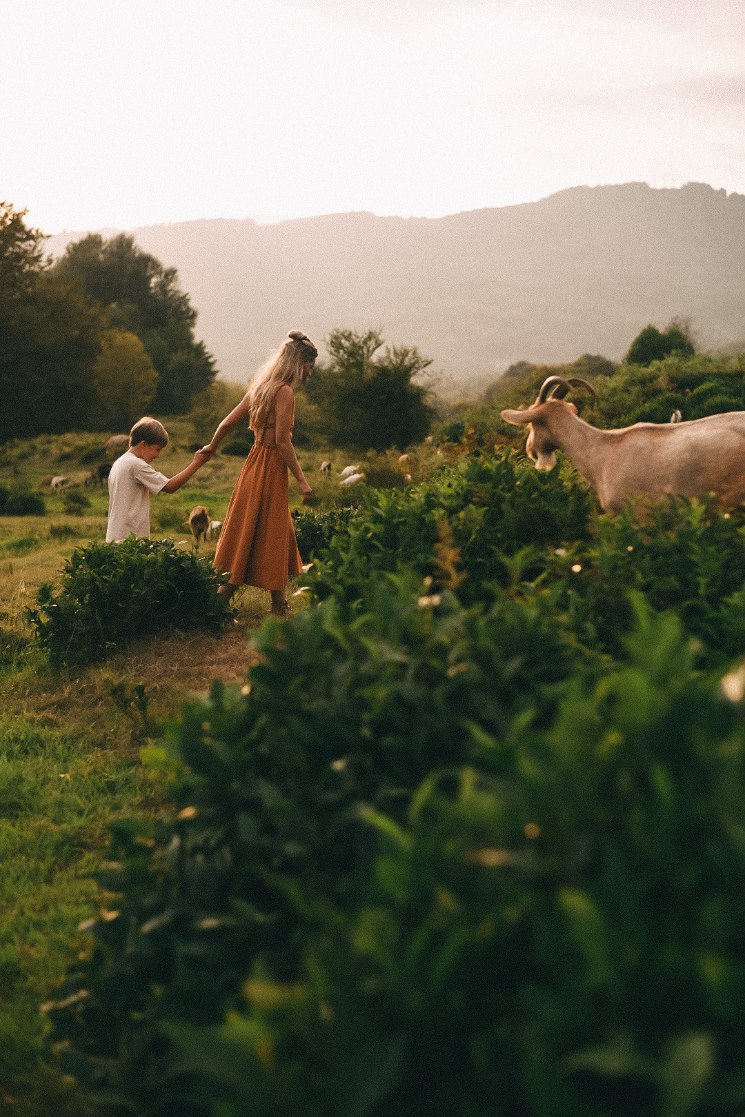 🌿✨. Фотограф в Сочи — Маргарита Поганова