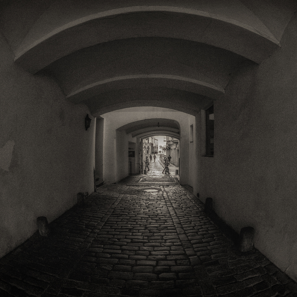 Монохром. Фотограф Минск Юлия Войнич