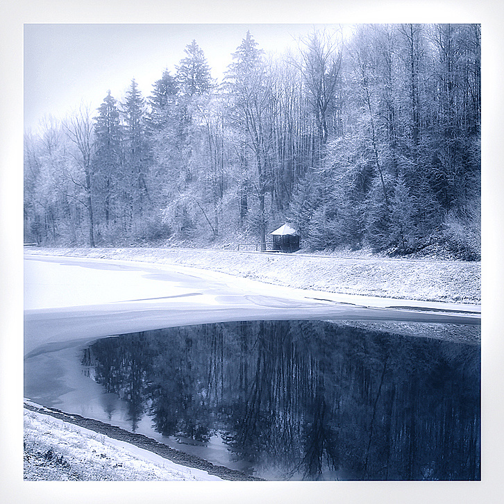 Пейзаж, животные, архитектура. Фотограф Минск Юлия Войнич