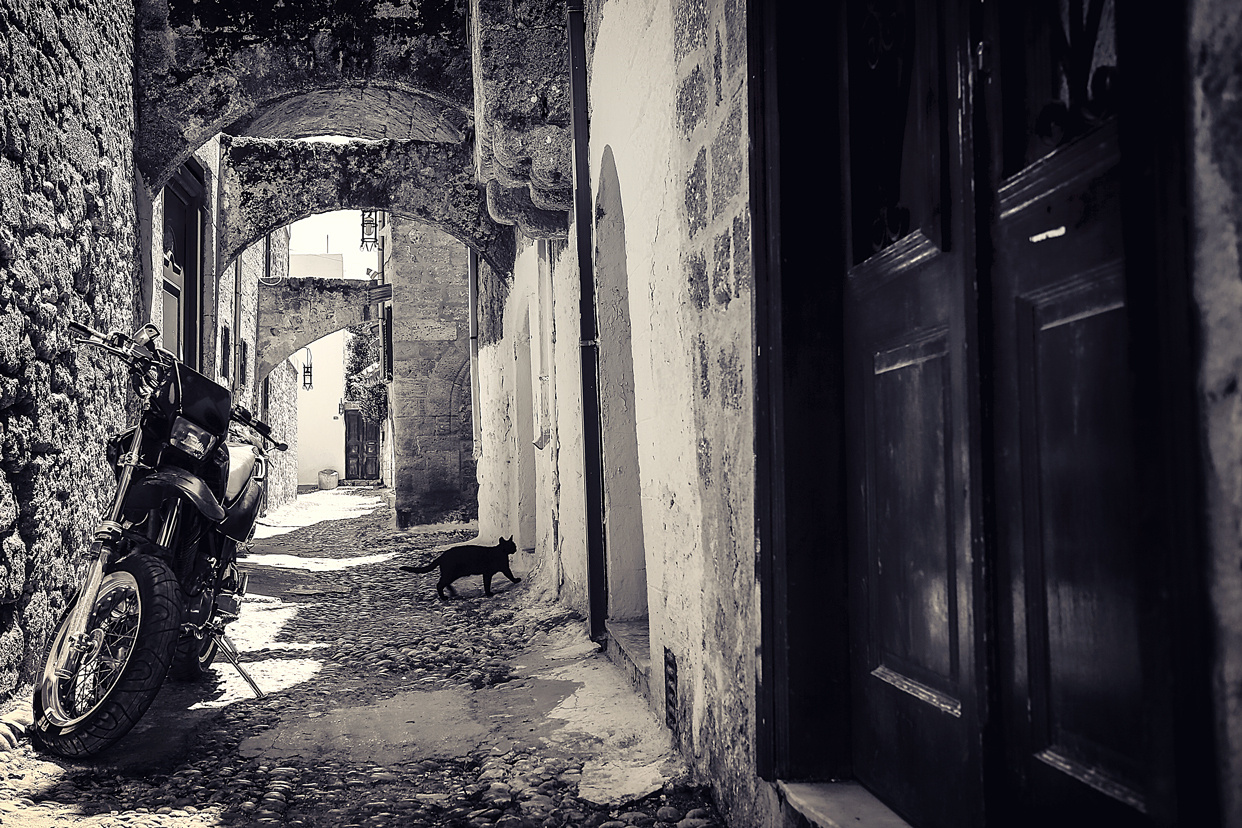 Монохром. Фотограф Минск Юлия Войнич