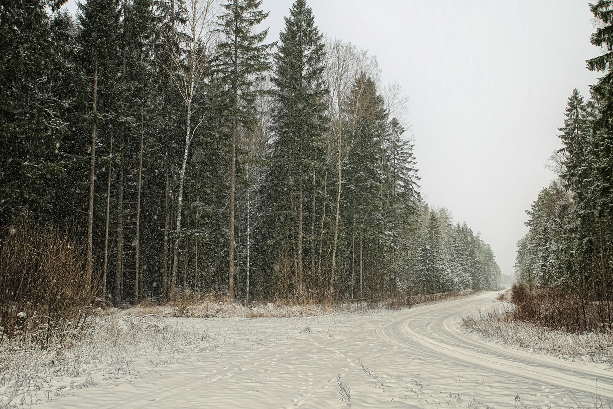 Пейзаж, животные, архитектура. Фотограф Минск Юлия Войнич